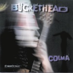 Buckethead - Big Sur Moon