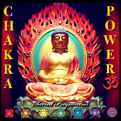 Chakra Power (Sacred Frequencies) - Dr. Bijay Saabye