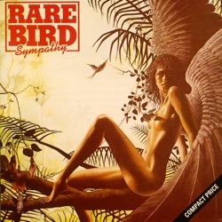 Rare Bird - Sympathy