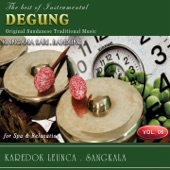 The Best of Instrumental Degung,  Vol. 6 (Original Sundanese Traditional Music) artwork