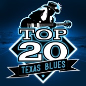 Top 20 Texas Blues artwork