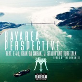 Bay Area Perspective (feat. E-40, Keak da Sneak, J. Stalin & Turf Talk) artwork