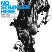 No Stranger Here (feat. Ursula Rucker & Business Class Refugees) artwork