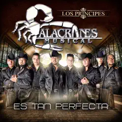 Es Tan Perfecta - Single - Alacranes Musical