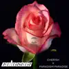 Stream & download Cherish / Paradigm Paradise - Single