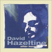 David Hazeltine - Detour Ahead