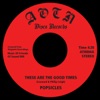 These Are the Good Times - Single