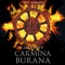 Carmina Burana: II. In Taberna - In taberna quando sumus artwork