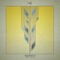 Jazz (feat. Kolombiano) - Neguim Beats lyrics