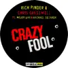 Stream & download Crazy Fool (feat. MojoFluxx & Rachael Setareh) - Single