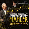 Vladimir Ashkenazy - Symphony No. 3 in D Minor: VI. Tempo I