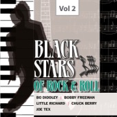 Black Stars of Rock & Roll, Vol. 2 artwork