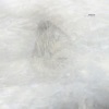The Rift Valley - Single