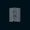 Unknown Pleasures (Collector's Edition) artwork