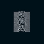She's Lost Control by Joy Division