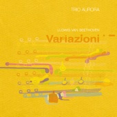 Beethoven, Duet nr. 3 i B-dur, WoO 27: Aria con Variazioni, Andantino con moto artwork