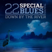 22 Special Blues Tracks - Down by the River artwork