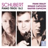 Renaud Capuçon, Orchestre de Paris & Paavo Järvi - Notturno in E flat major D.897