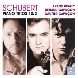 Renaud Capuçon, Orchestre de Paris & Paavo Järvi - Trio for Piano, Violin & Cello No.1 in Bb Major, Op.99 D898: Scherzo. Allegro