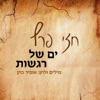 Yam Shel Regashot - Single