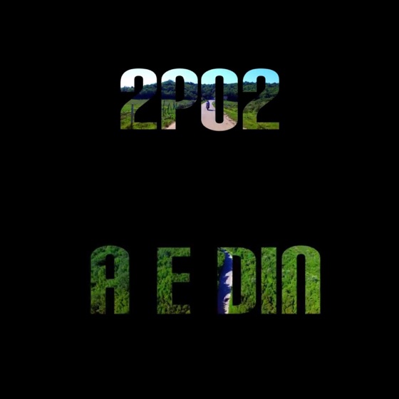 Cover artwork for A E Din