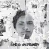 Estilo Vagabundo (feat. Kmila Cdd) album lyrics, reviews, download