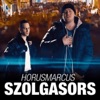 Szolgasors - Single, 2015