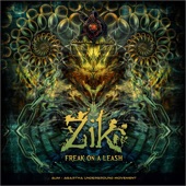Zik - Hey Baba A.U.M (Agartha Records Release 2015) artwork