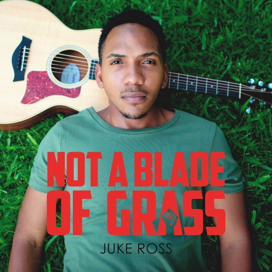 Cover artwork for Not a Blade of Grass