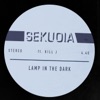 Lamp in the Dark (feat. KIll J) - Single