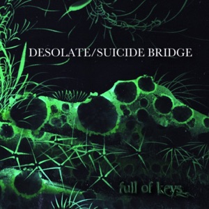 Desolate / Suicide Bridge - Single