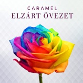 Elzárt Övezet artwork