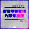 Best of Future House, Vol. 10