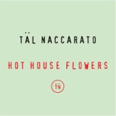 Hot House Flowers artwork