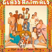 Pork Soda by Glass Animals