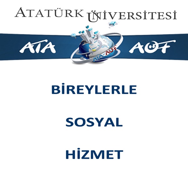 BİREYLERLE SOSYAL HİZMET cover