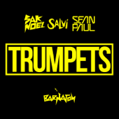 Trumpets (feat. Sean Paul) [Radio Mix] - Sak Noel & Salvi