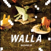 WALLA - Crazy World