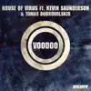 Voodoo (feat. Kevin Saunderson & Tomas Dobrovolskis) - Single album lyrics, reviews, download