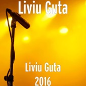Liviu Guta 2016 artwork