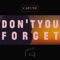 Don't You Forget - Cafuné lyrics