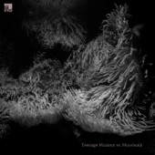 Teenage Mutants vs. Moonwalk - EP - Teenage Mutants & Moonwalk