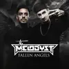 Fallen Angels (Traxtorm 0147) album lyrics, reviews, download