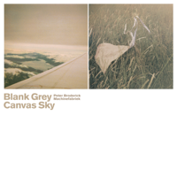 Peter Broderick & Machinefabriek - Blank Grey Canvas Sky artwork