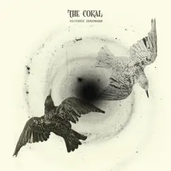 Distance Inbetween by The Coral album reviews, ratings, credits