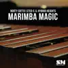 Marimba Magic - Single album lyrics, reviews, download