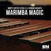 Marimba Magic - Single