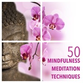 50 Mindfulness Meditation Techniques with Meditation Relax Music Instrumental Collection artwork