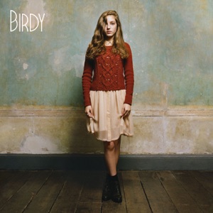 Birdy Skinny Love Vanic Remix