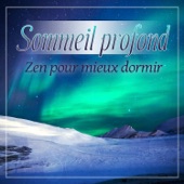 Sommeil profond - Zen pour mieux dormir, Ambiance de la nature, Musique relaxante et douce artwork